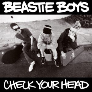 Beastie Boys – Check Your Head saját példánya