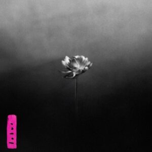 Little Simz – Lotus saját példánya